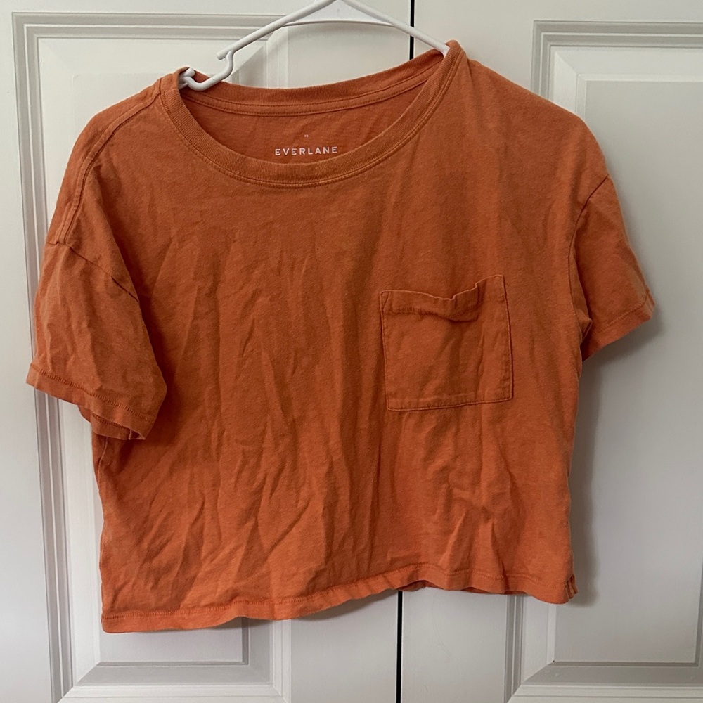 Everlane Terracotta Cropped Tee